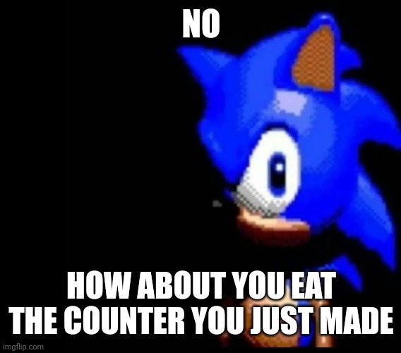 Sonic stares | NO HOW ABOUT YOU EAT THE COUNTER YOU JUST MADE | image tagged in sonic stares | made w/ Imgflip meme maker