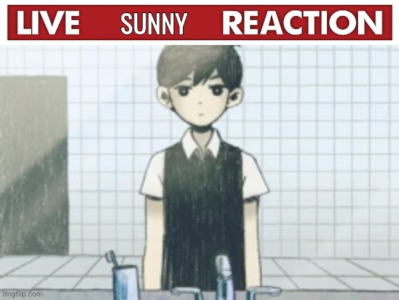 Sunny Omori | SUNNY | image tagged in sunny omori | made w/ Imgflip meme maker