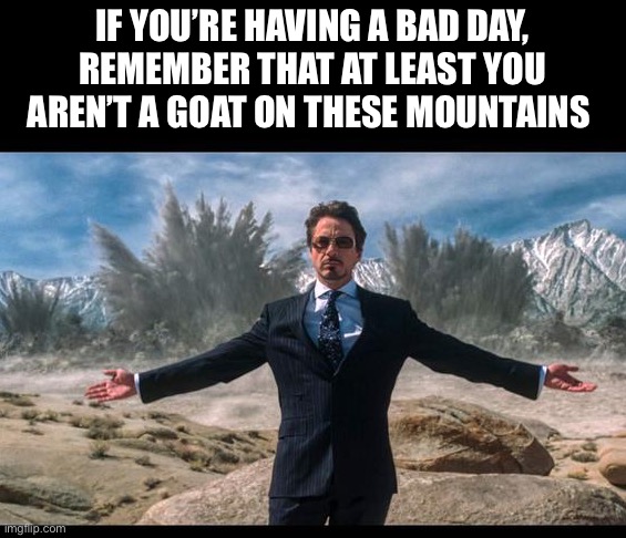 Cheer up | IF YOU’RE HAVING A BAD DAY, REMEMBER THAT AT LEAST YOU AREN’T A GOAT ON THESE MOUNTAINS | image tagged in tony stark,explosion,boom,goat,funny,bad day | made w/ Imgflip meme maker