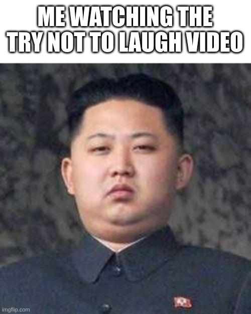 Kim Jong Un - Not Impressed | ME WATCHING THE TRY NOT TO LAUGH VIDEO | image tagged in kim jong un - not impressed | made w/ Imgflip meme maker