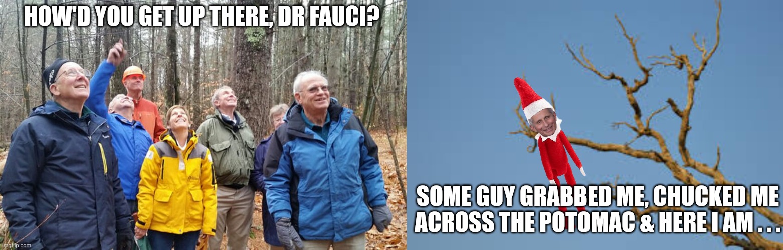 HOW'D YOU GET UP THERE, DR FAUCI? SOME GUY GRABBED ME, CHUCKED ME ACROSS THE POTOMAC & HERE I AM . . . | made w/ Imgflip meme maker