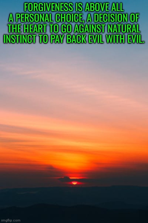 Quote | FORGIVENESS IS ABOVE ALL A PERSONAL CHOICE, A DECISION OF THE HEART TO GO AGAINST NATURAL INSTINCT TO PAY BACK EVIL WITH EVIL. | image tagged in please forgive me | made w/ Imgflip meme maker
