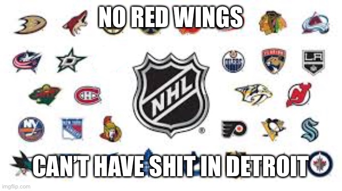 detroit | NO RED WINGS; CAN’T HAVE SHIT IN DETROIT | image tagged in nhl,detroit,detroit red wings | made w/ Imgflip meme maker