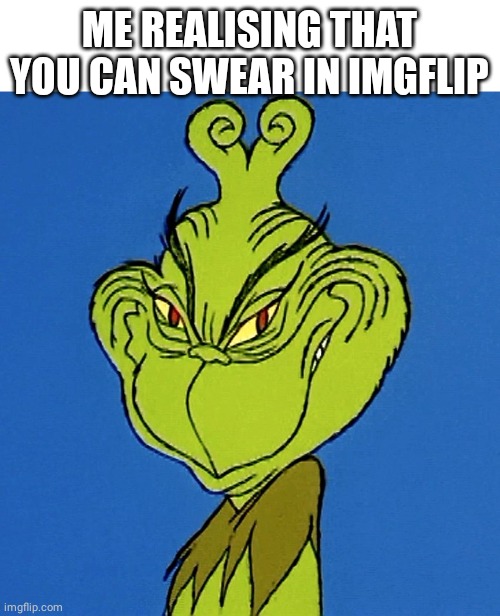 Hehehe >:) | ME REALISING THAT YOU CAN SWEAR IN IMGFLIP | image tagged in grinch smile | made w/ Imgflip meme maker