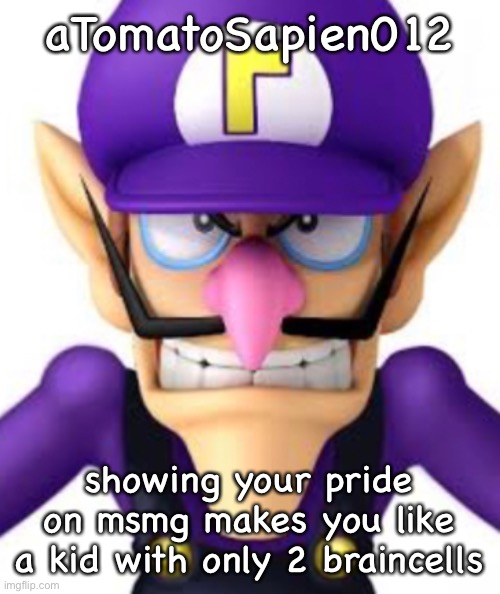 Waluigi facing front | aTomatoSapien012; showing your pride on msmg makes you like a kid with only 2 braincells | image tagged in waluigi facing front | made w/ Imgflip meme maker