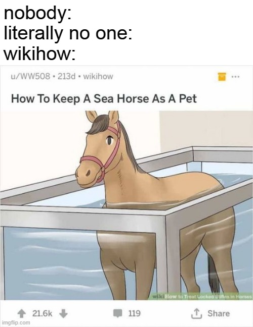 nobody:
literally no one:
wikihow: | image tagged in memes,wtf | made w/ Imgflip meme maker