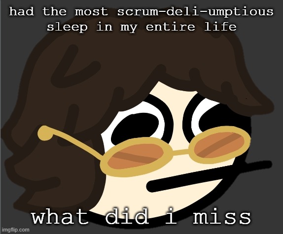 had the most scrum-deli-umptious sleep in my entire life; what did i miss | image tagged in the gotdam uhh | made w/ Imgflip meme maker