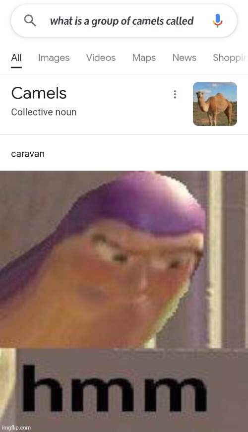 *insert picture of a caravan-camel* | image tagged in buzz lightyear hmm | made w/ Imgflip meme maker