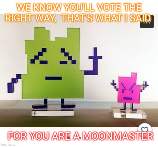 What are the chances? |  WE KNOW YOU'LL VOTE THE RIGHT WAY,  THAT'S WHAT I SAID; FOR YOU ARE A MOONMASTER | image tagged in aqua teen hunger force,vote,republican | made w/ Imgflip meme maker