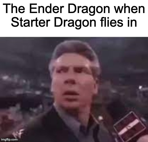 x when x walks in | The Ender Dragon when Starter Dragon flies in | image tagged in x when x walks in,memes | made w/ Imgflip meme maker