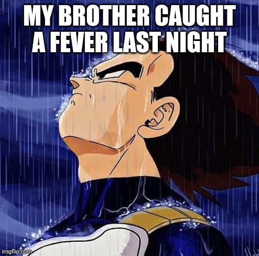 Vegeta | MY BROTHER CAUGHT A FEVER LAST NIGHT | image tagged in vegeta | made w/ Imgflip meme maker