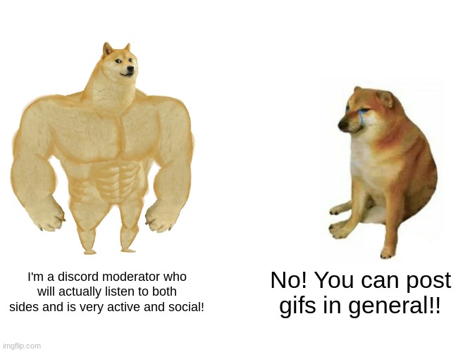 discord mods, good vs bad | I'm a discord moderator who will actually listen to both sides and is very active and social! No! You can post gifs in general!! | image tagged in memes,buff doge vs cheems,fun | made w/ Imgflip meme maker