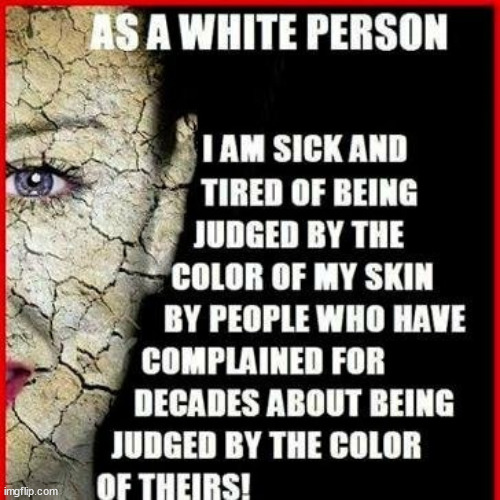 "Racism's RUSE" | image tagged in black white,color,racist,ruse,democrats | made w/ Imgflip meme maker