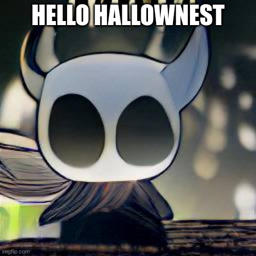 tiny ass bitch won't stfu, get your bitchy ass fucing holes away | HELLO HALLOWNEST | image tagged in tiny ass bitch won't stfu get your bitchy ass fucing holes away | made w/ Imgflip meme maker