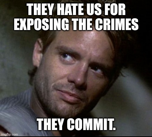 That's the bottom line. | THEY HATE US FOR EXPOSING THE CRIMES; THEY COMMIT. | image tagged in kyle reese | made w/ Imgflip meme maker