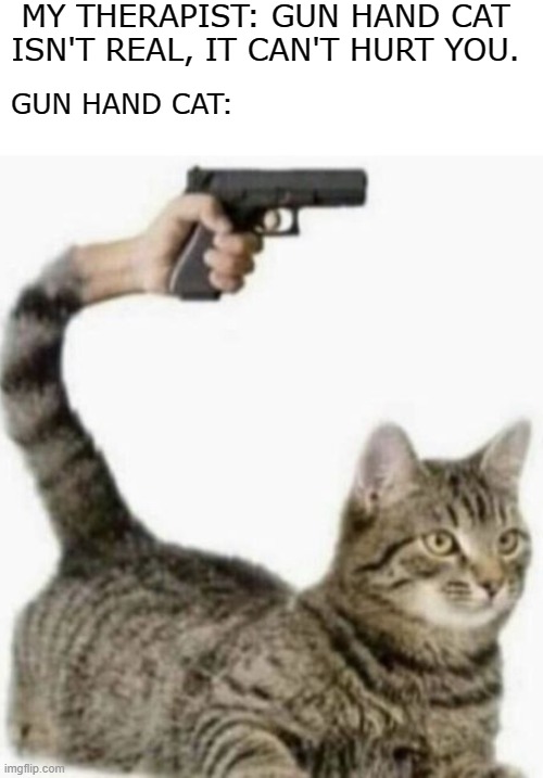 clever title | MY THERAPIST: GUN HAND CAT ISN'T REAL, IT CAN'T HURT YOU. GUN HAND CAT: | image tagged in gunhandcat,scared,momtakemehome,please kill me | made w/ Imgflip meme maker