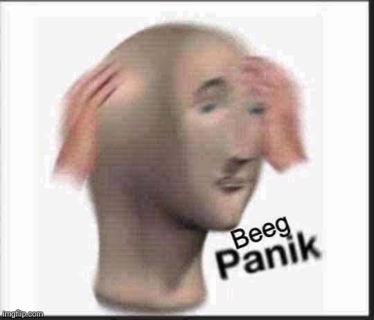 BEEG PANIK | image tagged in beeg panik | made w/ Imgflip meme maker