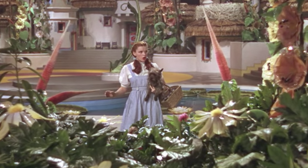 not in kansas anymore Blank Meme Template