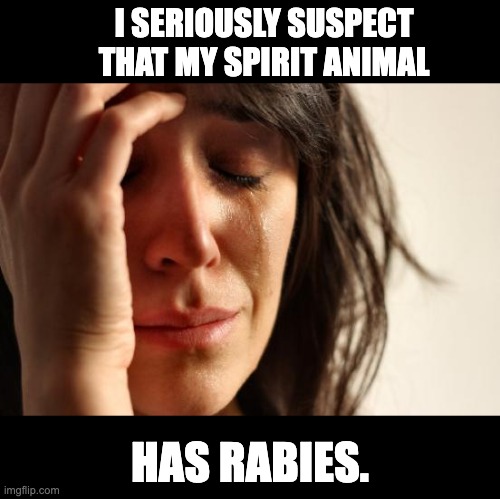 Spirit animal | I SERIOUSLY SUSPECT THAT MY SPIRIT ANIMAL; HAS RABIES. | image tagged in memes,first world problems | made w/ Imgflip meme maker