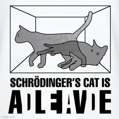 schrodinger's cat | image tagged in schrodinger's cat | made w/ Imgflip meme maker