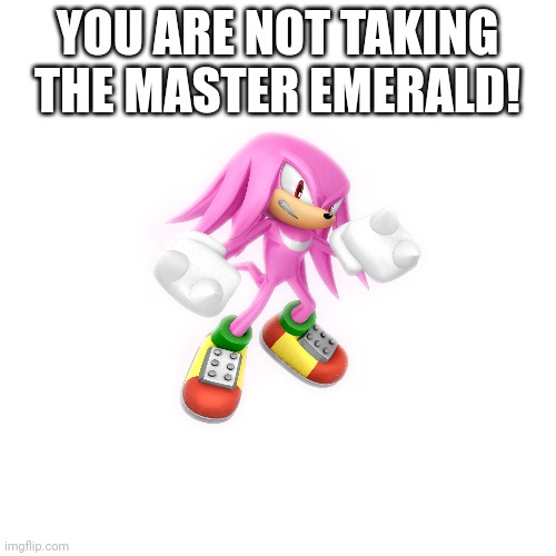 YOU ARE NOT TAKING THE MASTER EMERALD! | made w/ Imgflip meme maker