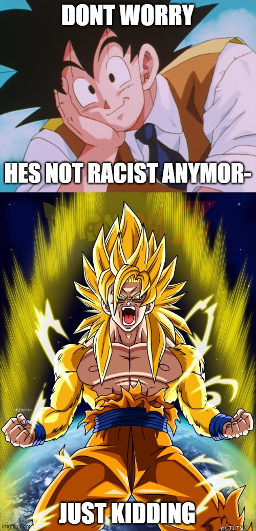 DONT WORRY HES NOT RACIST ANYMOR- JUST KIDDING | image tagged in memes,condescending goku,goku | made w/ Imgflip meme maker