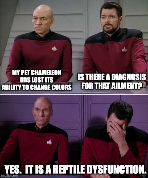 Reptile | IS THERE A DIAGNOSIS FOR THAT AILMENT? MY PET CHAMELEON HAS LOST ITS ABILITY TO CHANGE COLORS; YES.  IT IS A REPTILE DYSFUNCTION. | image tagged in picard boomerang | made w/ Imgflip meme maker