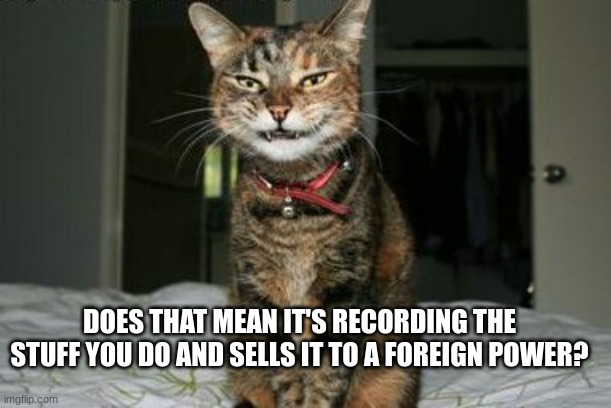 Evil Smile Cat | DOES THAT MEAN IT'S RECORDING THE STUFF YOU DO AND SELLS IT TO A FOREIGN POWER? | image tagged in evil smile cat | made w/ Imgflip meme maker