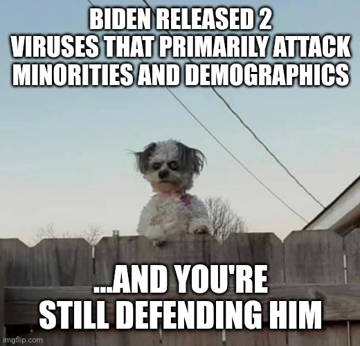 Creepy dog | BIDEN RELEASED 2 VIRUSES THAT PRIMARILY ATTACK MINORITIES AND DEMOGRAPHICS; ...AND YOU'RE STILL DEFENDING HIM | image tagged in creepy dog | made w/ Imgflip meme maker