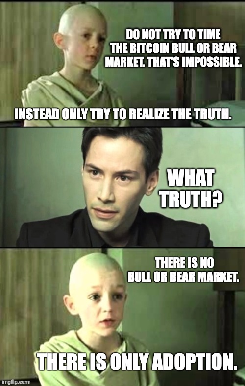 Only try to realize the truth | DO NOT TRY TO TIME THE BITCOIN BULL OR BEAR MARKET. THAT'S IMPOSSIBLE. INSTEAD ONLY TRY TO REALIZE THE TRUTH. WHAT TRUTH? THERE IS NO BULL OR BEAR MARKET. THERE IS ONLY ADOPTION. | image tagged in only try to realize the truth | made w/ Imgflip meme maker