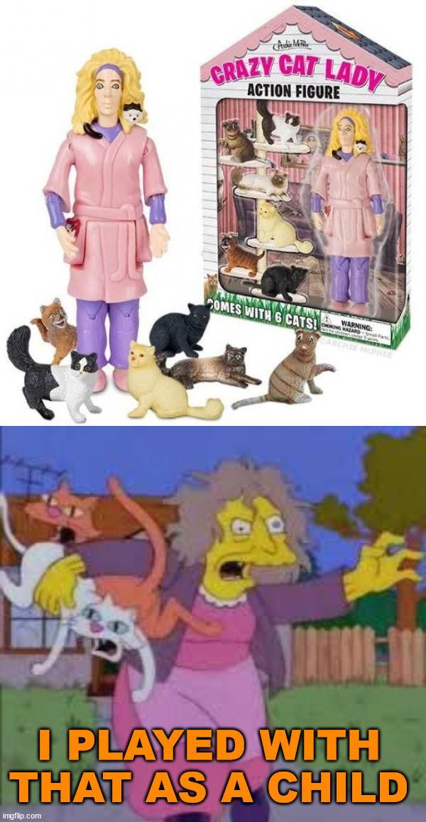 I PLAYED WITH THAT AS A CHILD | image tagged in crazy cat lady,fake | made w/ Imgflip meme maker