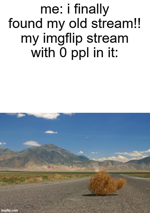 if anyone wants to join, name's "squeegyslimez"! | me: i finally found my old stream!! my imgflip stream with 0 ppl in it: | image tagged in blank white template,tumbleweed | made w/ Imgflip meme maker