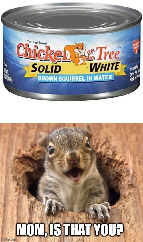 MOM, IS THAT YOU? | image tagged in angry squirrel,fake | made w/ Imgflip meme maker