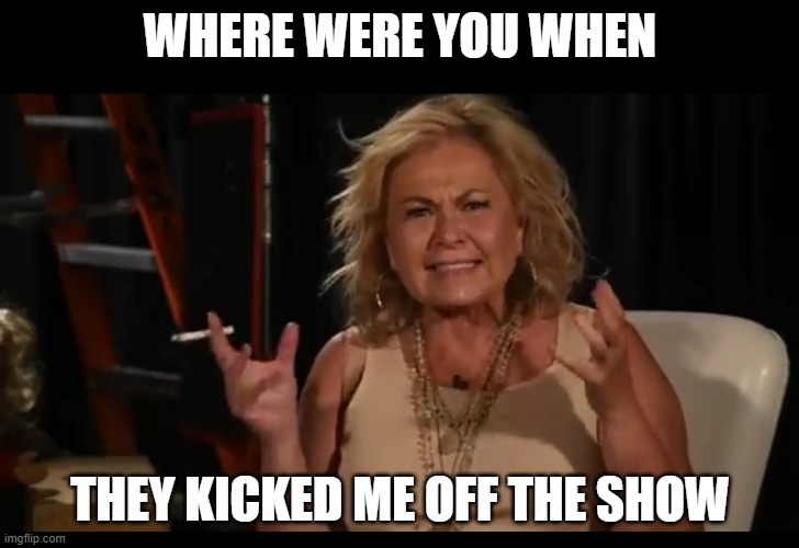 Rosanne | WHERE WERE YOU WHEN THEY KICKED ME OFF THE SHOW | image tagged in rosanne | made w/ Imgflip meme maker