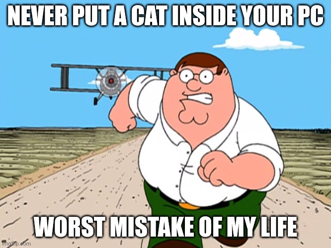 Peter Griffin running away | NEVER PUT A CAT INSIDE YOUR PC WORST MISTAKE OF MY LIFE | image tagged in peter griffin running away | made w/ Imgflip meme maker