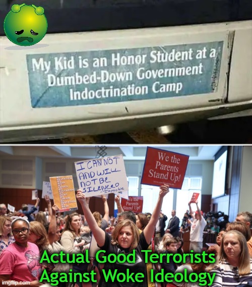 When The Left Labels Good Parents As 'Terrorists' & Drag Shows As 'Family Friendly' . . . | Actual Good Terrorists 
Against Woke Ideology | image tagged in politics,education,indoctrination,children,innocence,woke | made w/ Imgflip meme maker