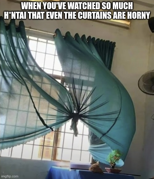 (mod: why does the curtain look like...) | WHEN YOU'VE WATCHED SO MUCH H*NTAI THAT EVEN THE CURTAINS ARE HORNY | made w/ Imgflip meme maker