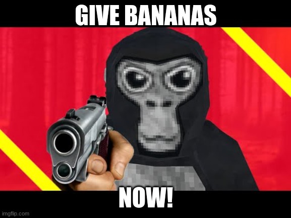 give bananas | GIVE BANANAS; NOW! | image tagged in give bananas,gorilla,tag | made w/ Imgflip meme maker
