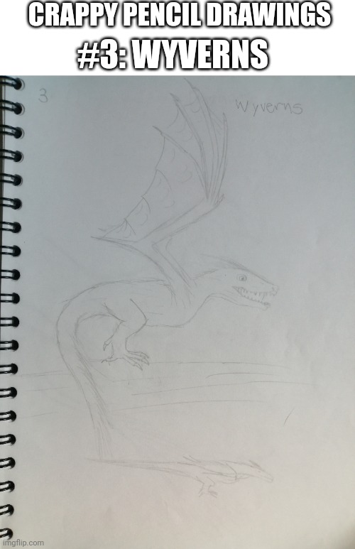 In my drawings, wyverns and dragons have feathers | CRAPPY PENCIL DRAWINGS; #3: WYVERNS | image tagged in drawing,drawings,dragons,fantasy,creatures | made w/ Imgflip meme maker