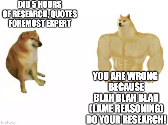 do your research | DID 5 HOURS OF RESEARCH, QUOTES FOREMOST EXPERT; YOU ARE WRONG 
BECAUSE BLAH BLAH BLAH
(LAME REASONING)
DO YOUR RESEARCH! | image tagged in buff doge vs cheems reversed | made w/ Imgflip meme maker