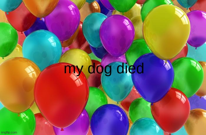 . | my dog died | made w/ Imgflip meme maker