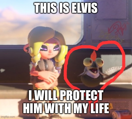 Too adorable | THIS IS ELVIS; I WILL PROTECT HIM WITH MY LIFE | image tagged in splatoon | made w/ Imgflip meme maker