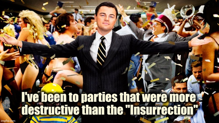 Wolf Party | I've been to parties that were more 
destructive than the "Insurrection" | image tagged in wolf party | made w/ Imgflip meme maker