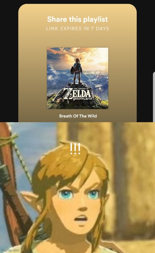 NO LINK NOOOOO!!! | !!! | image tagged in legend of zelda,the legend of zelda breath of the wild,link,die,spotify,oh no | made w/ Imgflip meme maker