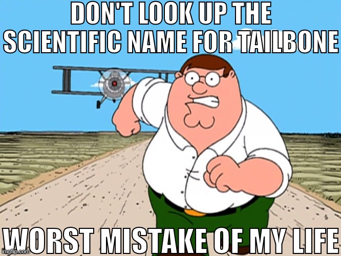 hi guy s | DON'T LOOK UP THE SCIENTIFIC NAME FOR TAILBONE; WORST MISTAKE OF MY LIFE | made w/ Imgflip meme maker