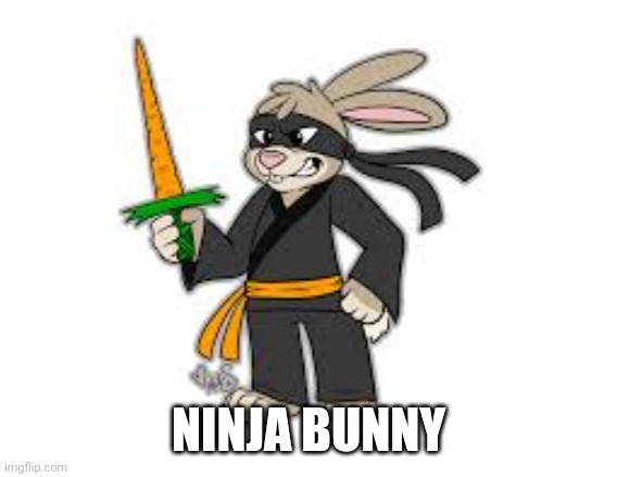 NINJA BUNNY | made w/ Imgflip meme maker