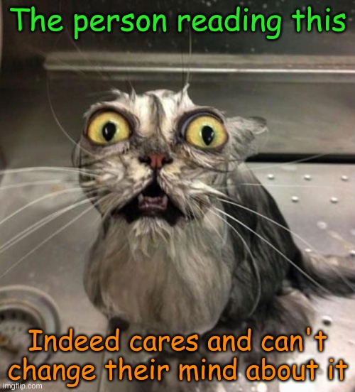Use this if someone says "I don't care" | The person reading this; Indeed cares and can't change their mind about it | image tagged in astonished wet cat,your argument is invalid | made w/ Imgflip meme maker