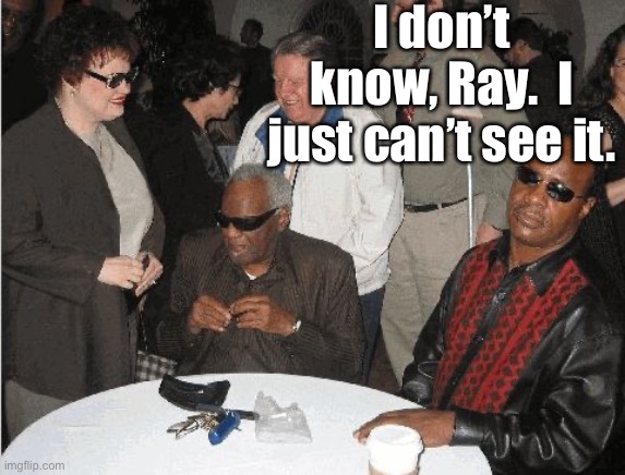 Ray Charles and Stevie Wonder | I don’t know, Ray.  I just can’t see it. | image tagged in ray charles and stevie wonder | made w/ Imgflip meme maker