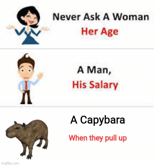 Capybara | A Capybara; When they pull up | image tagged in never ask a woman her age | made w/ Imgflip meme maker