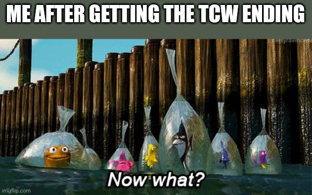 Not many memes in a while and meme boi completed CtM recently, so... | ME AFTER GETTING THE TCW ENDING | image tagged in now what,henry stickmin | made w/ Imgflip meme maker